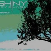 Shiny Toy Guns Stripped