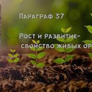 Биология 6 Класс 37 Параграф