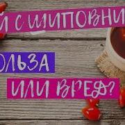 Шиповник Чай