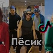 Я На Подскоке Песик