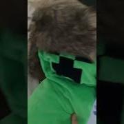 Russian Creeper