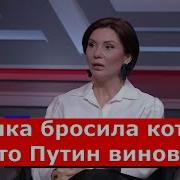 Кошка Бросила Котят Это Путин Виноват