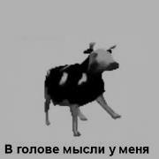 Мем Польская Корова
