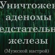 Настрой Сытина Исцеление От Аденомы Предстательной Железы Струя Мочи