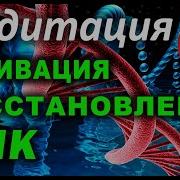 Днк Для Трансексуалки