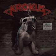 Help Krokus