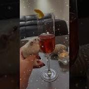 Я Так Хочу Розового Шампанского Ледяного