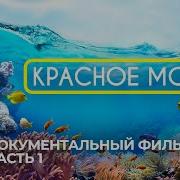 Красное Море