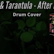 Tito Tarantula After Dark Drum Only