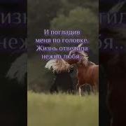 Добрый День Друзья Видео