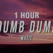 Everyone Is Dumb 1 Hour