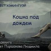 Кошка Под Дождём