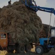 Жарким Летом Как Всегда На Сенокос