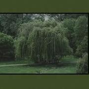 Willow Tree Slowed