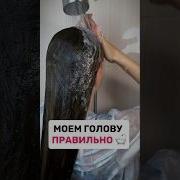 Моем Голову Правильно