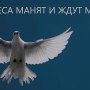 Песня Небеса Манят И Ждут Меня