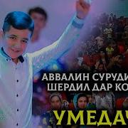 Умедачон Шердил