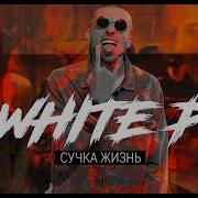 White P Сучка Жизнь