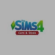 The Sims 4 Cats Dogs Build Mode 1