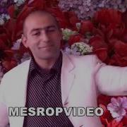 Arman Hovhannisyan Luzia Liana