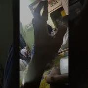 Phonk Trollge Dxrk