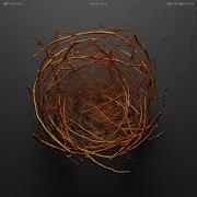 Hanging D Polynation Remix Joep Beving Polynation