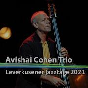 Avishai Cohen New