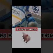 Толстожопый Снеговик
