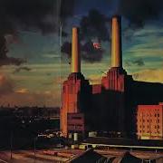 Animals Pink Floyd Full Album