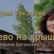 Дерево На Крыше