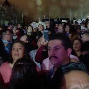 Bronco A Todo Galope Vol
