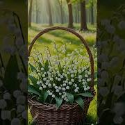 Хэерле Кич Песня
