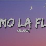 Selena Quintanilla Soundtrack