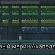 Morgenstern Новый Мерин Acapella