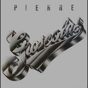 Pierre Groscolas Le Programmateur