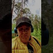 Лесная Команда Песня