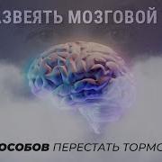 Развеять Мозговой Туман