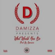 Damizza What Would You Do