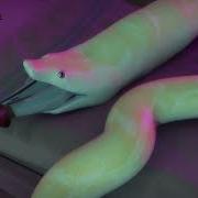 Albino Snake Vore