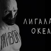 Океан Лигалайз