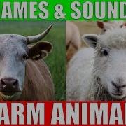 Farm Animals Name And Sound For Kids