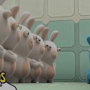 Rabbids Dance