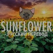 Post Malone Sunflower Перевод