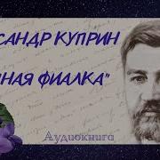 Куприн Ночная Фиалка