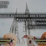 Людмила Улицкая Фрукт Голландский