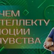 Константин Шереметьев Интеллектика Как Работает Ваш Мозг