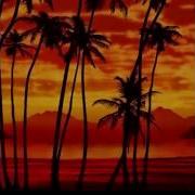 Sunset Palms Time Travel