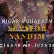 Azeri Remix Seviyor Sandim