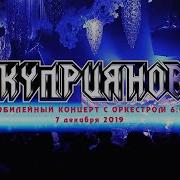 Игорь Куприянов Концерт