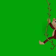 Monkey Animation Green Screen